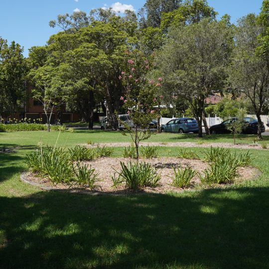 Image of gardens and grass